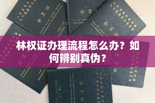 全国林权证办理流程怎么办?如何辨别真伪?